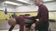 A3 Hooking Ankles While Riding