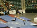 Kayla Williams- 2010 WOGA Classic- BB