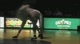 Cal Poly vs UC Davis 
