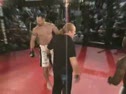 mitchell vs scott ventimiglia
