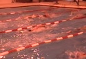 Lane 4