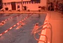 Lane 6