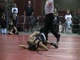 Wallace(MO) v. Fortuna(MO) 98