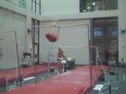 Gym Dog Sneak Peak - Bars - Grace Taylor