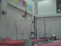 Gym Dog Sneak Peak - Bars - Cassidy McComb