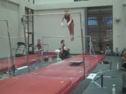 Gym Dog Sneak Peak - Bars - Lauren Sessler