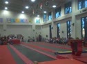 Gym Dog Sneak Peak - Vault - Lauren Johnson