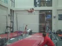 Gym Dog Sneak Peak - Bars - Shayla Worley