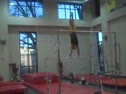 Gym Dog Sneak Peak - Bars - Marcia Newby