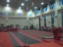 Gym Dog Sneak Peak - Vault - Lauren Sessler