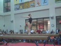 Gym Dog Sneak Peak - Beam - Lauren Johnson