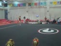 Gym Dog Sneak Peak - Floor - Cassidy McComb