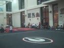 Gym Dog Sneak Peak - Floor - Grace Taylor