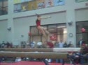 Gym Dog Sneak Peak - Beam - Hilary Mauro