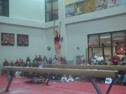 Gym Dog Sneak Peak - Beam - Kati Brazeal