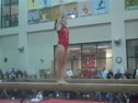 Gym Dog Sneak Peak - Beam - Shayla Worley