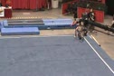 Georgiana Gheorge FX - Romania