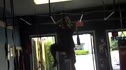 Gorilla Strength Building with Zach Even-Esh