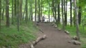A Glimpse into MOVNAT Training w/ Erwan Le Corre