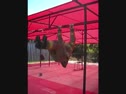 "The Fireman" by Ken C. 20 pullups, 20 box jumps, 20 KTE, Overhead Carry w- 115#, 20 KTE, 20 Box Jumps, 20 Pull ups
