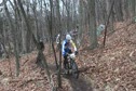 Cat 1 Start H4