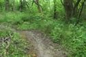 DSG Course View 2