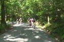 Bump N' Grind Race Teaser