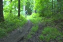 Kevin Hines lap 4