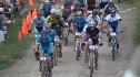 Cat 2 Start 2