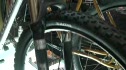 Dejay Birtch on Niner Biker