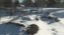 Snow/ Turns Top of The Course Cross Nats