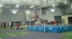 Edgar Rivera-Morales 223m