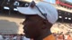 Tennessee Coach JJ Clark after DMR 2010 Penn Relays