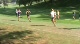 Women's Maroon Race (DII)
