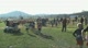 Youth Boys 4k