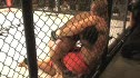 Brian Houston vs Jeff Souder
