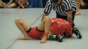 Cale v Aimslee