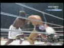 Mo Highlights