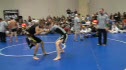 Patridge v White