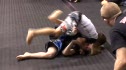 Vincent P. Zarate vs Wyatt Fava
