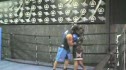 Curran Workout