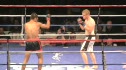 Pure Knockout