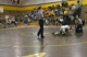 01.02.10-112-Mike Jiampetti-Absegami (9-4) Nick George-Long Branch