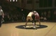 01.20.10-160-Jerry Somma-Hunterdon Central (3:36) Nick Maddalena-Delaware Valley