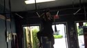 Gorilla Strength Training