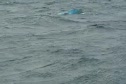 CYC Whaler Flips