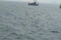 Race #6 Start PHRF 7
