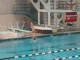 Diving- 5th Place- Mick Dell'Orco- St Louis University High