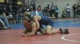 125lbs Devin Carter Christiansburg- vs. Anthony Elias Shady Side Academy-