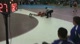 141lbs Trent Washington Northern Iowa- vs. Trevor Melde Rutgers-